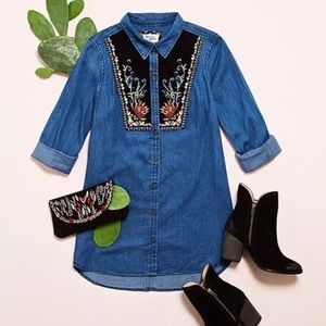 Chambray Anthropologie Holding Horses